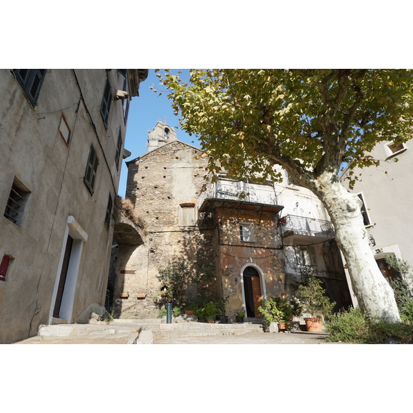 รูปถ่าย ฝรั่งเศส(France) คอร์สิคา(Corsica) เวสโกวาโต(Vescovato) 2017-09 28