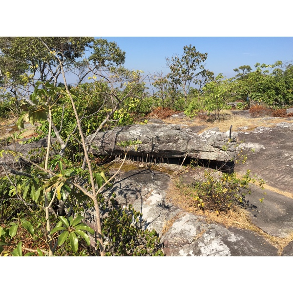 รูปถ่าย ไทย(Thailand) อุทยานแห่งชาติภูหินร่องกล้า(Phu Hin Rong Kla National Park) 2014-12 30