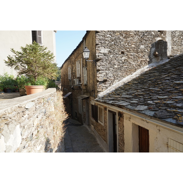 รูปถ่าย ฝรั่งเศส(France) คอร์สิคา(Corsica) เวสโกวาโต(Vescovato) 2017-09 29