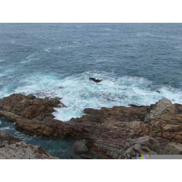 รูปถ่าย แอฟริกาใต้(South Africa) แหลมเซนต์เบลส(Cape St Blaise) 2008-09 46