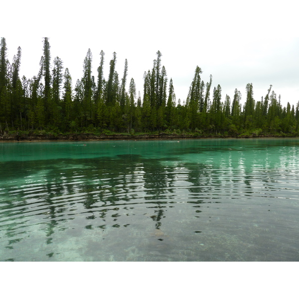รูปถ่าย นิวแคลิโดเนีย(New Caledonia) เกาะต้นสน(Ile des pins) อ่าวโอโร(Oro Bay) 2010-05 88
