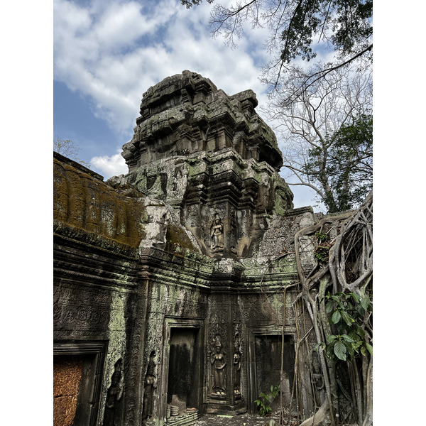 รูปถ่าย กัมพูชา(Cambodia) เสียมราฐ(Siem Reap) ปราสาทตาพรหม(Ta Prohm) 2023-01 60