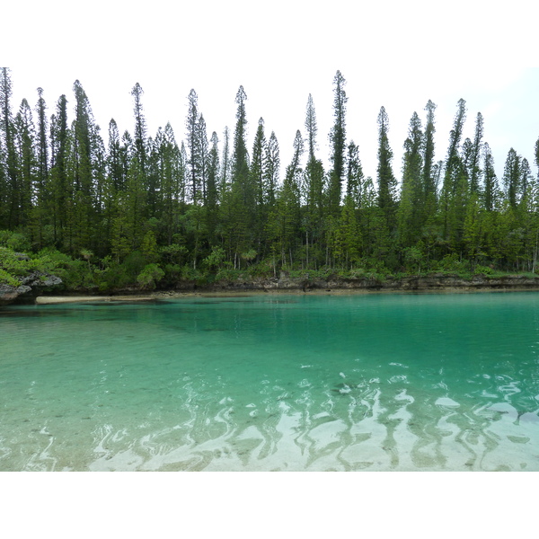 รูปถ่าย นิวแคลิโดเนีย(New Caledonia) เกาะต้นสน(Ile des pins) อ่าวโอโร(Oro Bay) 2010-05 90