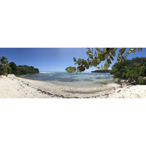 รูปถ่าย กวาเดอลูป(Guadeloupe) แหลมคาสเซิลพอยต์(Castle Point) 2021-02 3