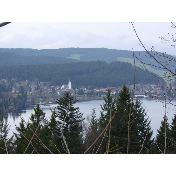 รูปถ่าย เยอรมนี(Germany) ป่าสนเขา(Black Forest) 2002-04 5