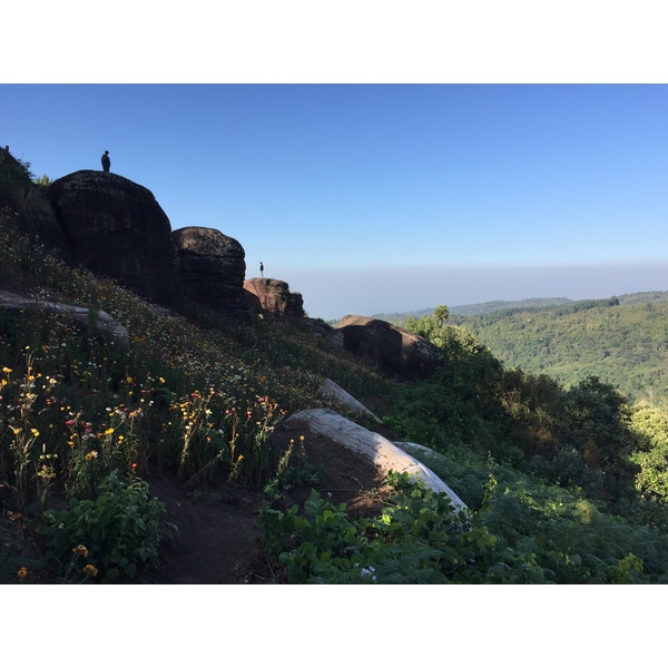 รูปถ่าย ไทย(Thailand) อุทยานแห่งชาติภูหินร่องกล้า(Phu Hin Rong Kla National Park) 2014-12 292