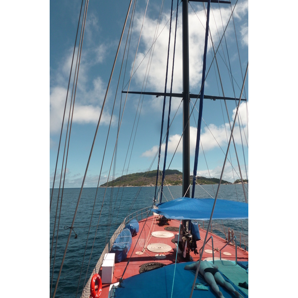 รูปถ่าย เซเชลส์(Seychelles) ซีสตาร์(Sea Star) 2011-10 28
