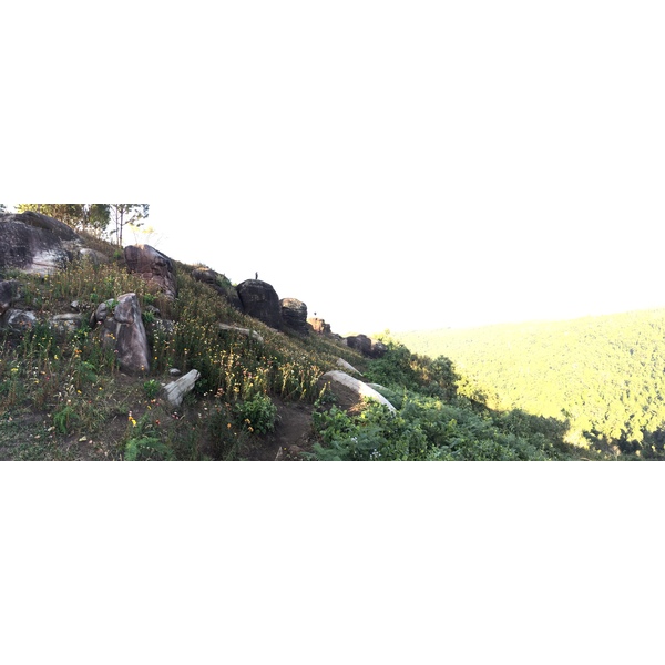รูปถ่าย ไทย(Thailand) อุทยานแห่งชาติภูหินร่องกล้า(Phu Hin Rong Kla National Park) 2014-12 226
