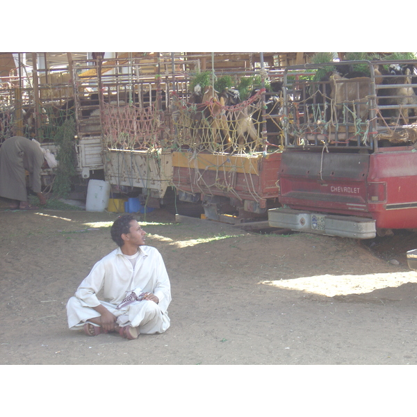 รูปถ่าย สหรัฐอาหรับเอมิเรตส์(United Arab Emirates) อาเลอิน(Al Ain) 2005-03 31
