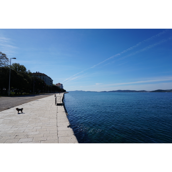 รูปถ่าย โครเอเชีย(Croatia) ซาดาร์(Zadar) 2016-04 45