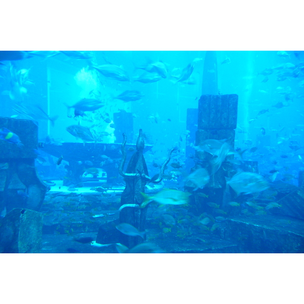 รูปถ่าย สหรัฐอาหรับเอมิเรตส์(United Arab Emirates) ดูไบ(Dubai) สวนน้ำอควาเวนเจอร์ ดูไบ(Dubai Aquaventure) 2009-01 57