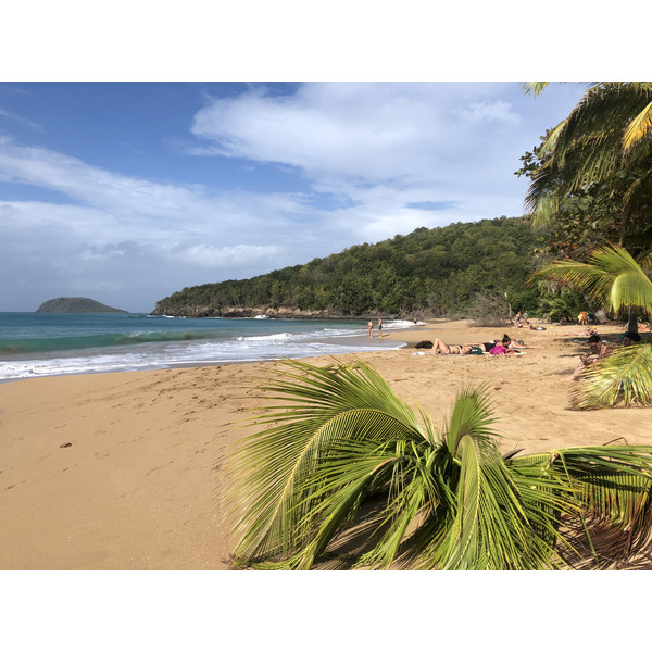 รูปถ่าย กวาเดอลูป(Guadeloupe) หาดลาแปร์ล(La Perle Beach) 2021-02 42