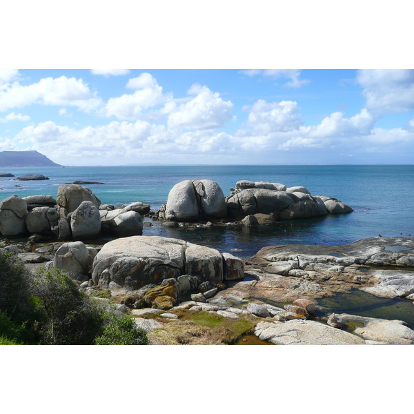 รูปถ่าย แอฟริกาใต้(South Africa) แหลมกู๊ดโฮป(Cape of Good Hope) 2008-09 84