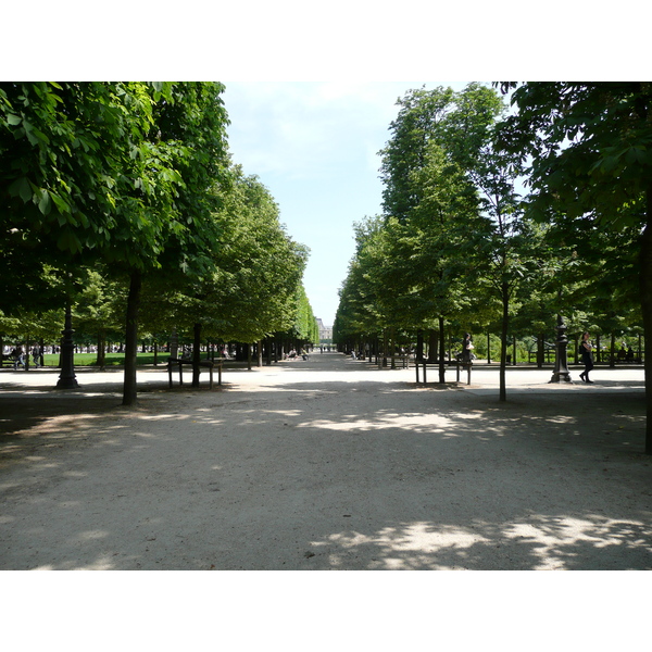 รูปถ่าย ฝรั่งเศส(France) ปารีส(Paris) สวนตุยเลอรี(Garden of Tuileries) 2007-05 379