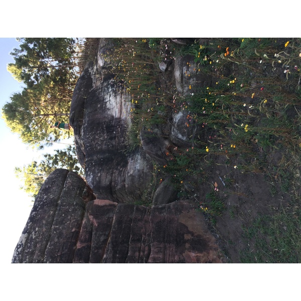 รูปถ่าย ไทย(Thailand) อุทยานแห่งชาติภูหินร่องกล้า(Phu Hin Rong Kla National Park) 2014-12 219