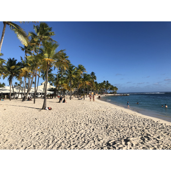 รูปถ่าย กวาเดอลูป(Guadeloupe) หาดลาการาแวล(La Caravelle Beach) 2021-02 113