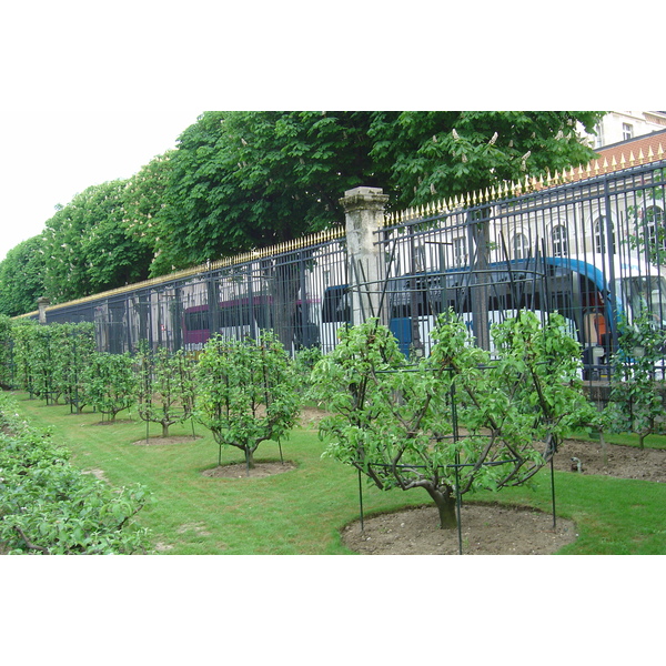 รูปถ่าย ฝรั่งเศส(France) ปารีส(Paris) สวนลักเซมเบิร์ก(Luxembourg Garden) 2007-04 24