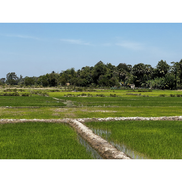 รูปถ่าย กัมพูชา(Cambodia) เสียมราฐ(Siem Reap) 2023-01 155