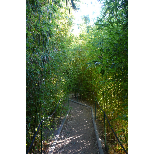 รูปถ่าย ฝรั่งเศส(France) นีส(Nice) สวนฟีนิกซ์(Phoenix Parc) 2007-10 55