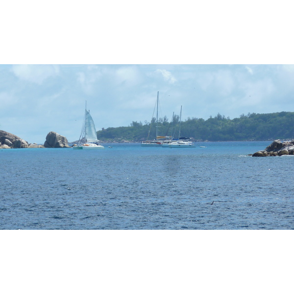 รูปถ่าย เซเชลส์(Seychelles) เกาะโกโก้(Coco Island) 2011-10 44