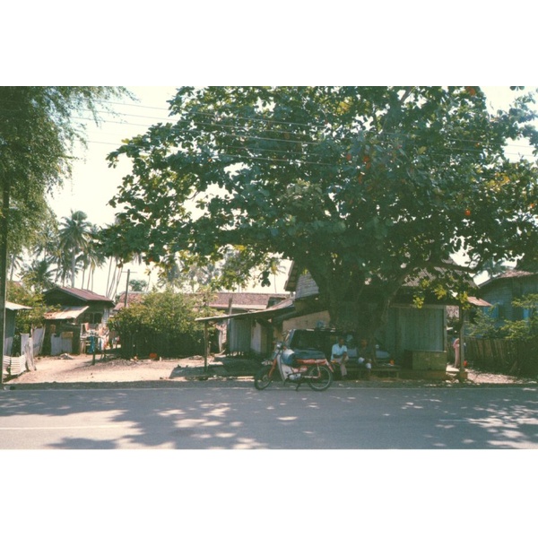 รูปถ่าย มาเลเซีย(Malaysia) 1994-02 10