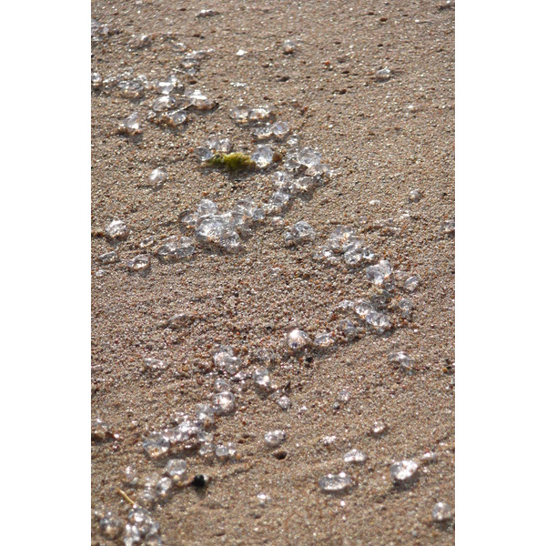 รูปถ่าย ฝรั่งเศส(France) คานส์(Cannes) หาดทราย(Beach) 2008-04 26