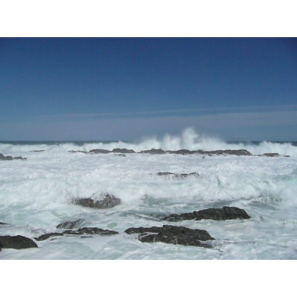 รูปถ่าย แอฟริกาใต้(South Africa) อุทยานแห่งชาติซิตซิคัมมา(Tsitsikamma National Park) 2008-09 136