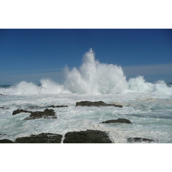 รูปถ่าย แอฟริกาใต้(South Africa) อุทยานแห่งชาติซิตซิคัมมา(Tsitsikamma National Park) 2008-09 44