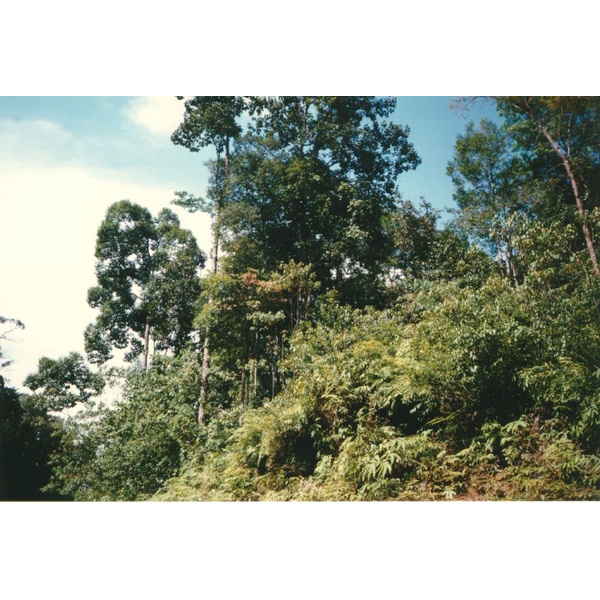 รูปถ่าย มาเลเซีย(Malaysia) 1994-02 8
