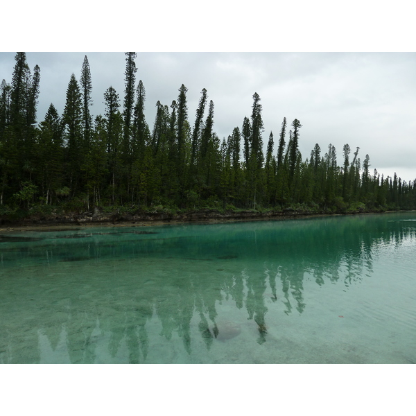 รูปถ่าย นิวแคลิโดเนีย(New Caledonia) เกาะต้นสน(Ile des pins) อ่าวโอโร(Oro Bay) 2010-05 42
