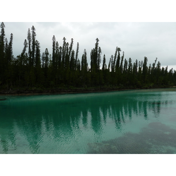 รูปถ่าย นิวแคลิโดเนีย(New Caledonia) เกาะต้นสน(Ile des pins) อ่าวโอโร(Oro Bay) 2010-05 78