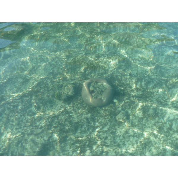 รูปถ่าย ฟิจิ(Fiji) เกาะแคสต์อะเวย์(Castaway Island) 2010-05 33