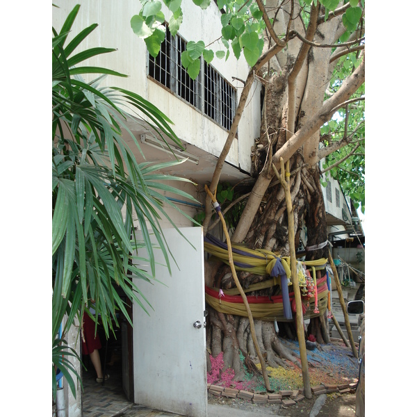 รูปถ่าย ไทย(Thailand) เชียงใหม่(Chiang Mai) 2006-04 15