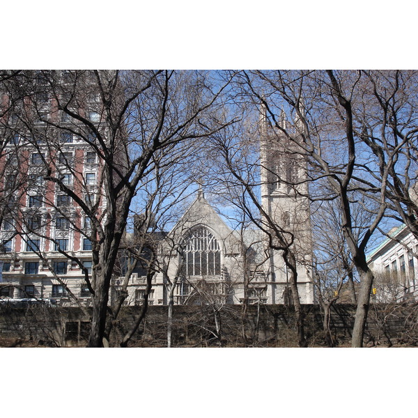 รูปถ่าย สหรัฐอเมริกา(United States) นิวยอร์ก(New York) เซ็นทรัลพาร์ก(Central Park) 2006-03 61