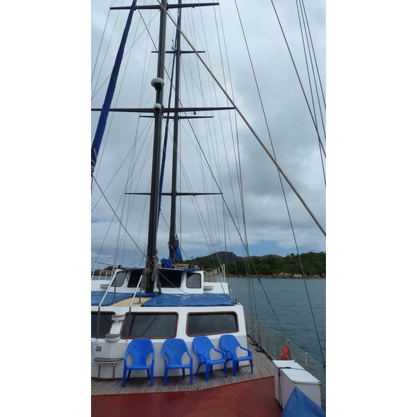 รูปถ่าย เซเชลส์(Seychelles) ซีสตาร์(Sea Star) 2011-10 62