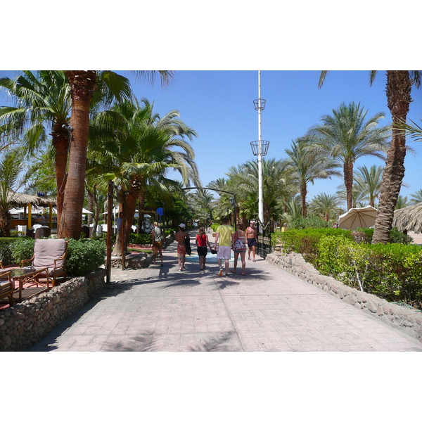 รูปถ่าย อียิปต์(Egypt) ชาร์มเอลชีค(Sharm el Sheikh) 2008-06 81