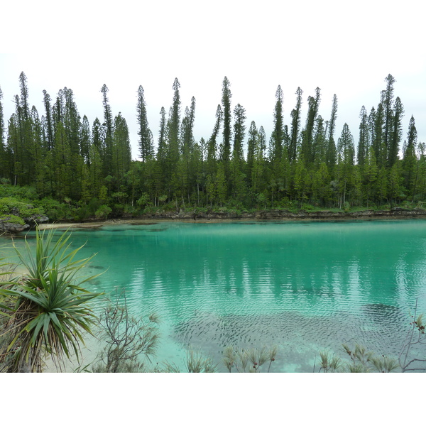 รูปถ่าย นิวแคลิโดเนีย(New Caledonia) 2010-05 65