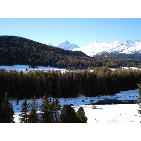 รูปถ่าย สวิสเซอร์แลนด์(Switzerland) ปองเทรซีน่า(Pontresina) 2007-01 84