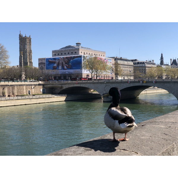 รูปถ่าย ฝรั่งเศส(France) ปารีสช่วงล็อกดาวน์(Paris lockdown) 2020-04 241