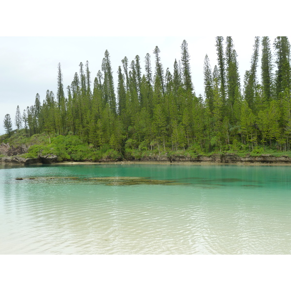 รูปถ่าย นิวแคลิโดเนีย(New Caledonia) 2010-05 93