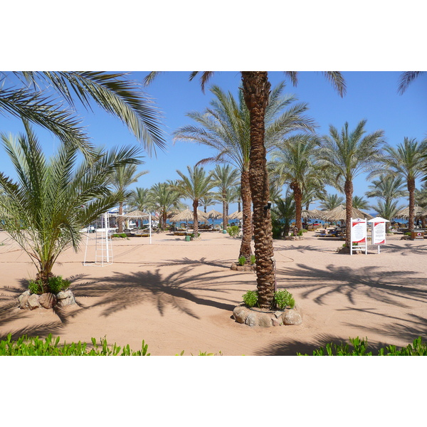 รูปถ่าย อียิปต์(Egypt) ชาร์มเอลชีค(Sharm el Sheikh) 2008-06 66
