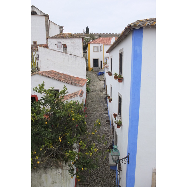 รูปถ่าย โปรตุเกส(Portugal) โอบีโดส(Obidos) 2013-01 68