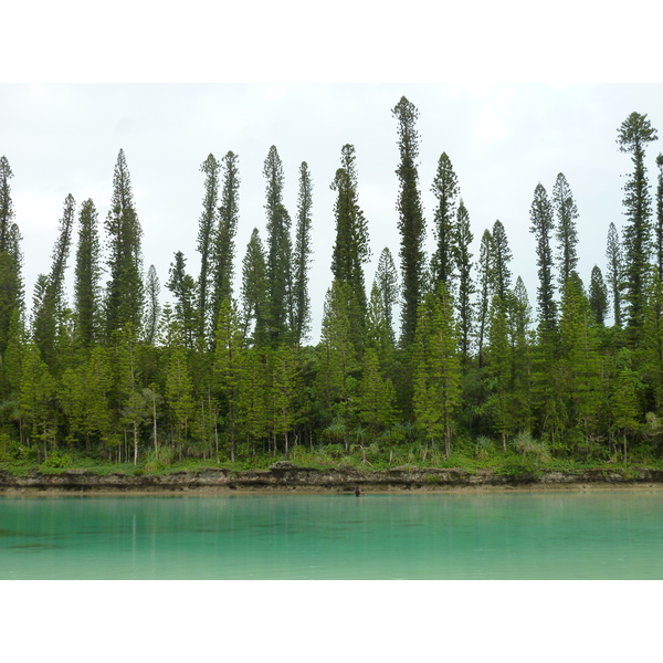 รูปถ่าย นิวแคลิโดเนีย(New Caledonia) เกาะต้นสน(Ile des pins) อ่าวโอโร(Oro Bay) 2010-05 44