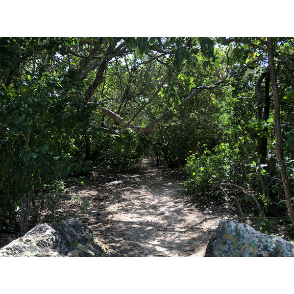 รูปถ่าย กวาเดอลูป(Guadeloupe) แหลมคาสเซิลพอยต์(Castle Point) 2021-02 30