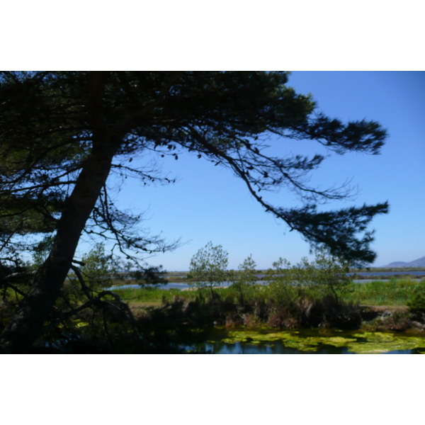 รูปถ่าย ฝรั่งเศส(France) เฟรนช์ริวิเอรา(French Riviera) คาบสมุทรอีแยร์(Hyeres peninsula) 2008-05 24