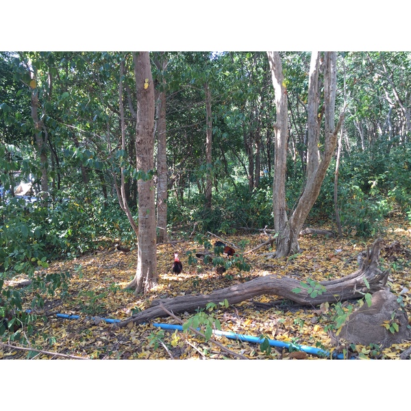 รูปถ่าย ไทย(Thailand) เกาะเสม็ด(Ko Samet) 2014-12 344