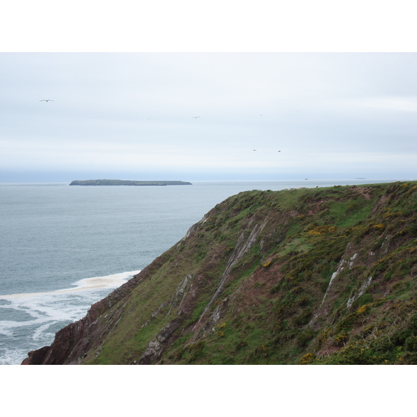 รูปถ่าย อังกฤษ(United Kingdom) เปมโบรคเชอร์(Pembrokeshire) แหลมเซนต์แอนส์(St. Ann's Head) 2006-05 4