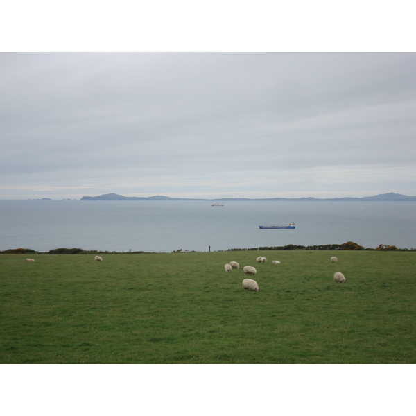รูปถ่าย อังกฤษ(United Kingdom) เปมโบรคเชอร์(Pembrokeshire) 2006-05 1