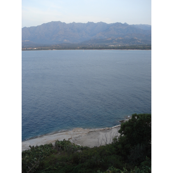 รูปถ่าย ฝรั่งเศส(France) คอร์สิคา(Corsica) คาลวี(Calvi) 2006-09 8