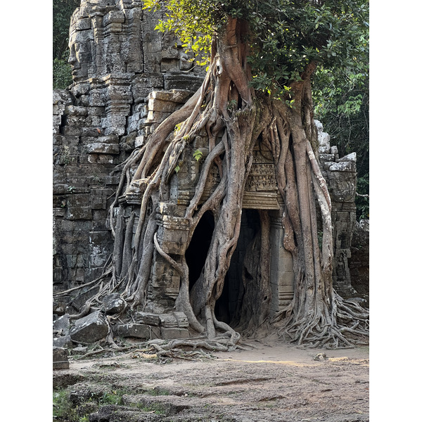 รูปถ่าย กัมพูชา(Cambodia) เสียมราฐ(Siem Reap) ปราสาทตาสม(Ta Som) 2023-01 14